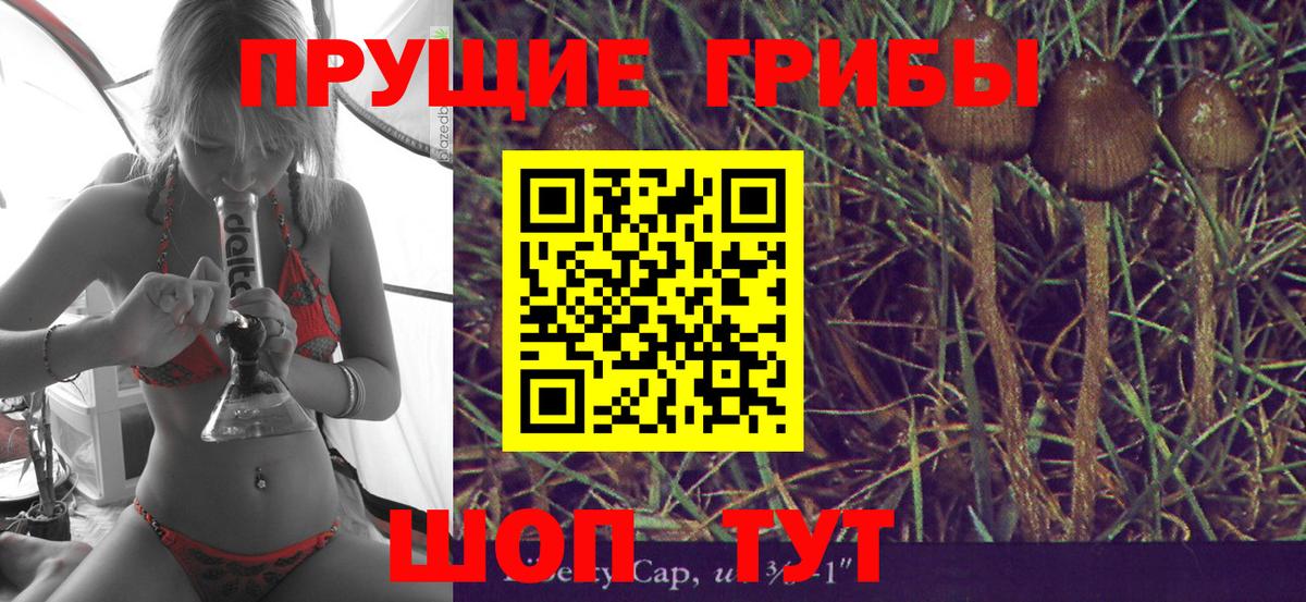 Сокол  Псилоцибиновые грибы GOLDEN TEACHER  закладки  Вход с VPN 